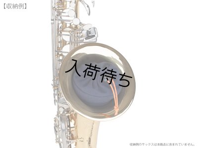 画像4: PROTEC　マウスピース＆ネックポーチ　【テナーサックス用】　【A313】