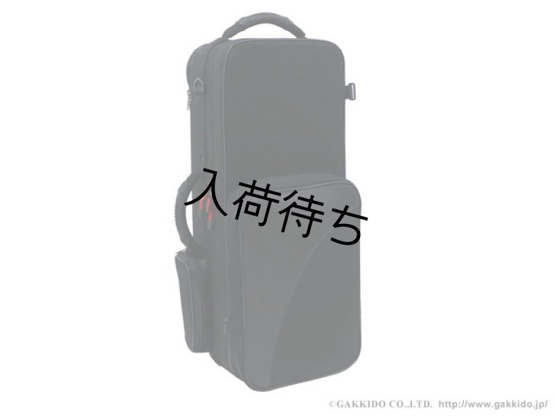 BAM トレッキングスタイル アルトサックス用セミハードケース