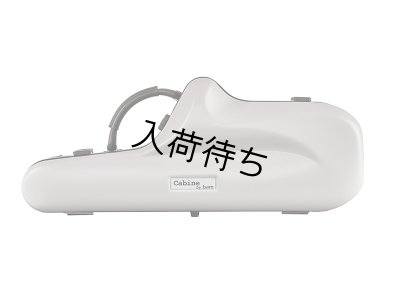 画像5: BAM　Cabine　アルトサックス用ケース