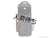 BAM　PEAK　アルトサックス用セミハードケース　【PEAK3021SN】