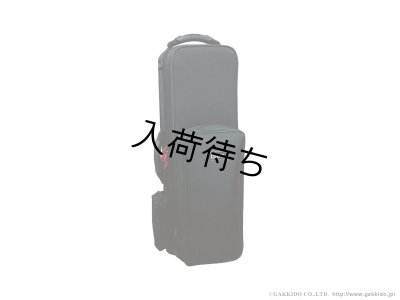画像1: BAM　トレッキングスタイル　ソプラノサックス用セミハードケース