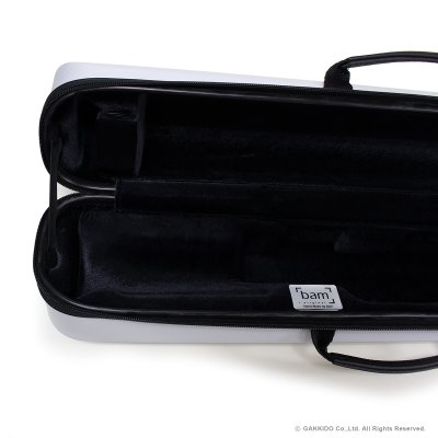 画像6: BAM　STAGE　ソプラノサックス用ケース　【STAGE3020IG】