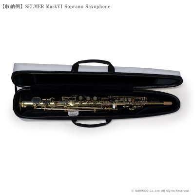 画像8: BAM　STAGE　ソプラノサックス用ケース　【STAGE3020IG】