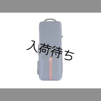 BAM　トレッキングスタイル　Saint-Germain　テナーサックス用セミハードケース