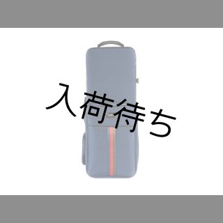 ダブルケース特集 - ヴィンテージサックスショップ Sax Fun
