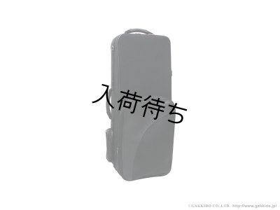 画像1: BAM　トレッキングスタイル　テナーサックス用セミハードケース