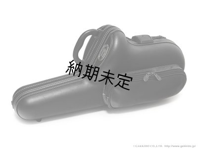 画像1: Marco Magi　Regular Series　アルトサックス用ケース