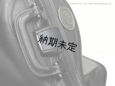画像3: Marco Magi　Regular Series　テナーサックス用ケース
