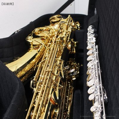 画像14: Marcus Bonna　ソプラノ＆テナーサックス用ダブルケース　【MBSSTS】　【ナイロン製】