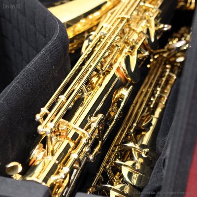 画像16: Marcus Bonna　ソプラノ＆テナーサックス用ダブルケース　【MBSSTS】　【ナイロン製】