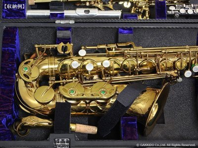 画像12: Wiseman　ソプラノ＆アルトサックス用マルチプルケース　【カーボンファイバー製】　【Gloss Lacquer】