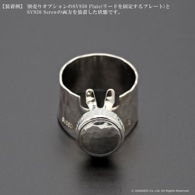 画像8: Gottsu　Signature Ligature　Option Parts：Plate　【SV950】