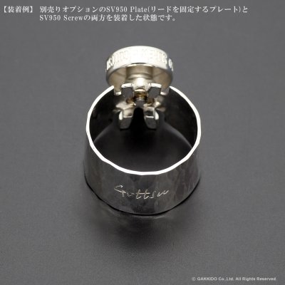 画像9: Gottsu　Signature Ligature　Option Parts：Plate　【SV950】