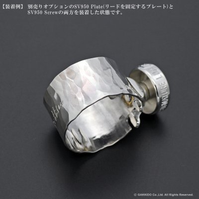 画像11: Gottsu　Signature Ligature　Option Parts：Plate　【SV950】