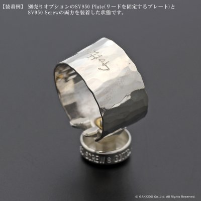 画像5: Gottsu　Signature Ligature　Option Parts：Screw　【SV950】