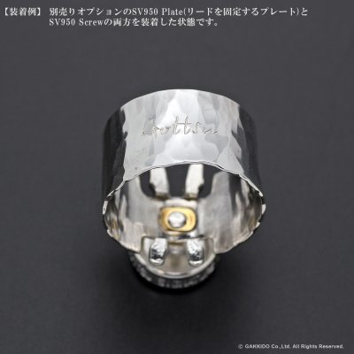 画像10: Gottsu　Signature Ligature　Option Parts：Screw　【SV950】