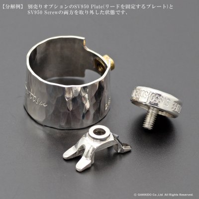 画像12: Gottsu　Signature Ligature　Option Parts：Screw　【SV950】