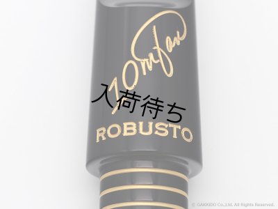 画像6: 10mfan　Robusto　テナーサックス用マウスピース　【ハードラバー】