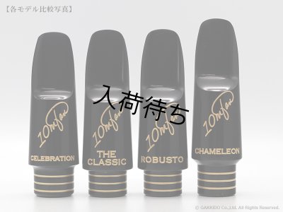 画像13: 10mfan　Robusto　テナーサックス用マウスピース　【ハードラバー】