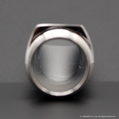 画像5: 10mfan　Robusto　テナーサックス用メタルマウスピース　【Rhodium Plated】　【Limited Edition】