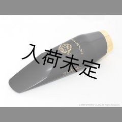H.SELMER Claude Delangle アルトサックス用マウスピース