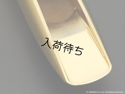 画像4: TheoWanne　DURGA 5　アルトサックス用メタルマウスピース　【GP】