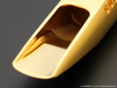 画像7: TheoWanne　DURGA 5　アルトサックス用メタルマウスピース　【GP】