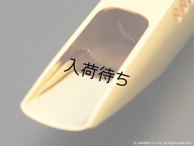 画像7: TheoWanne　DURGA 5　アルトサックス用メタルマウスピース　【GP】