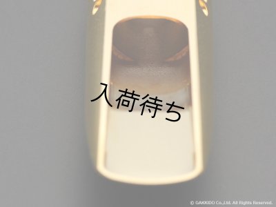 画像10: TheoWanne　DURGA 5　アルトサックス用メタルマウスピース　【GP】