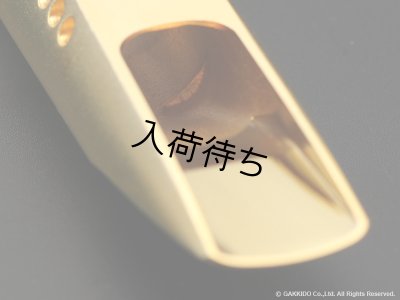 画像12: TheoWanne　DURGA 5　アルトサックス用メタルマウスピース　【GP】