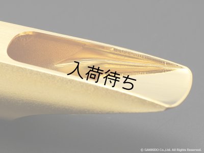 画像13: TheoWanne　DURGA 5　アルトサックス用メタルマウスピース　【GP】