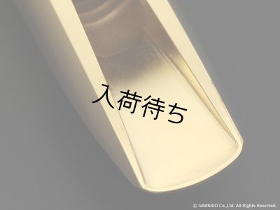 画像4: TheoWanne　EARTH 2　アルトサックス用メタルマウスピース　【Gold Plated】