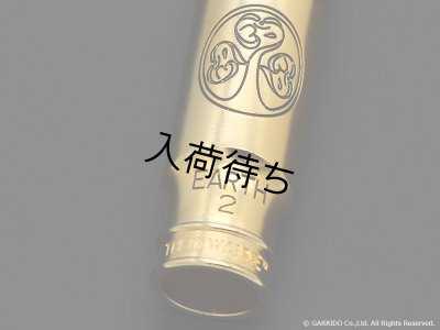 画像6: TheoWanne　EARTH 2　アルトサックス用メタルマウスピース　【Gold Plated】