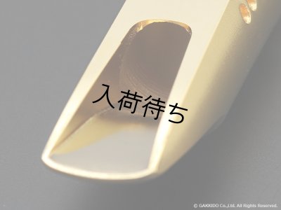 画像7: TheoWanne　EARTH 2　アルトサックス用メタルマウスピース　【Gold Plated】