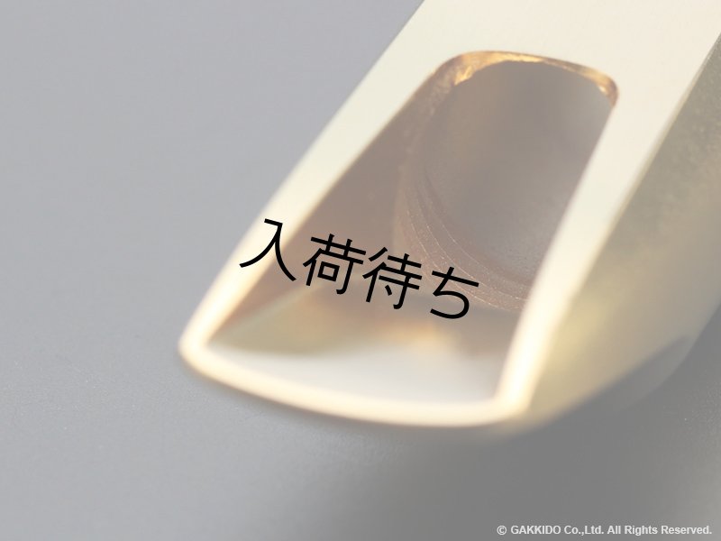 TheoWanne EARTH 2 アルトサックス用メタルマウスピース 【Gold Plated