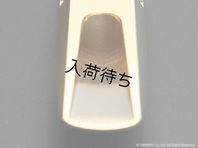 画像9: TheoWanne　EARTH 2　アルトサックス用メタルマウスピース　【Gold Plated】