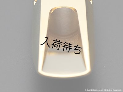 画像10: TheoWanne　EARTH 2　アルトサックス用メタルマウスピース　【Gold Plated】