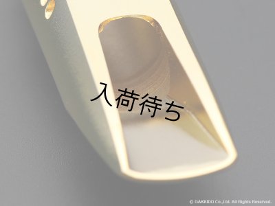 画像11: TheoWanne　EARTH 2　アルトサックス用メタルマウスピース　【Gold Plated】