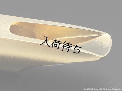 画像12: TheoWanne　EARTH 2　アルトサックス用メタルマウスピース　【Gold Plated】