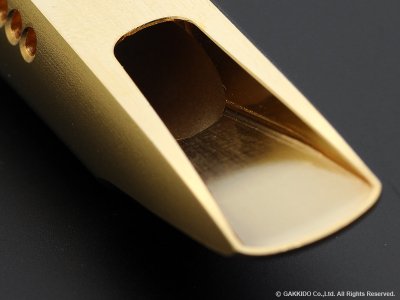 画像10: TheoWanne　FIRE 2　アルトサックス用メタルマウスピース　【Gold Plated】