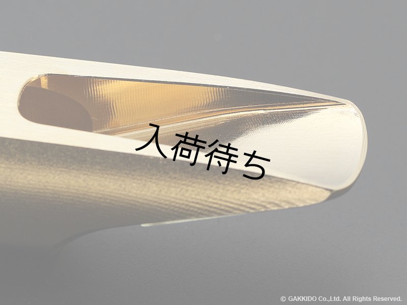 TheoWanne FIRE 2 アルトサックス用メタルマウスピース 【Gold Plated