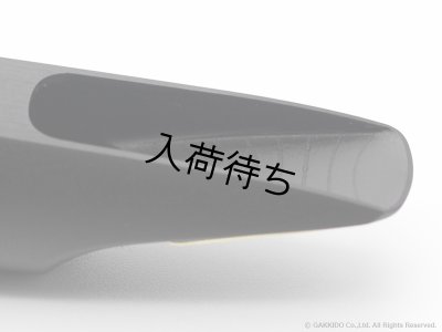 画像11: TheoWanne　GAIA 4 Hard Rubber　アルトサックス用マウスピース