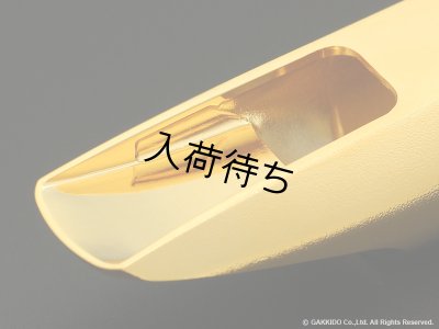 画像3: TheoWanne　DURGA 5　ソプラノサックス用メタルマウスピース　【GP】