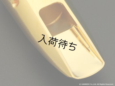 画像4: TheoWanne　DURGA 5　ソプラノサックス用メタルマウスピース　【GP】