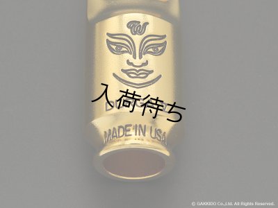画像6: TheoWanne　DURGA 5　ソプラノサックス用メタルマウスピース　【GP】