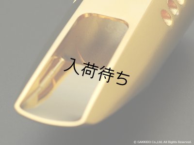 画像7: TheoWanne　DURGA 5　ソプラノサックス用メタルマウスピース　【GP】