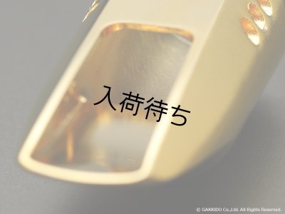 画像8: TheoWanne　DURGA 5　ソプラノサックス用メタルマウスピース　【GP】