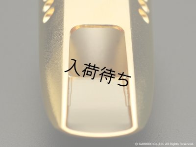 画像9: TheoWanne　DURGA 5　ソプラノサックス用メタルマウスピース　【GP】
