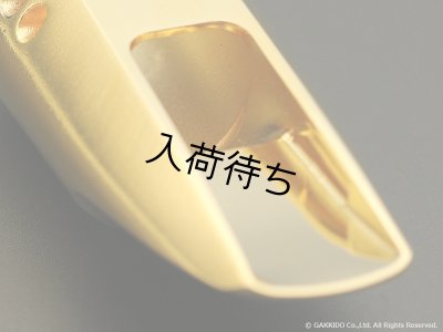 画像11: TheoWanne　DURGA 5　ソプラノサックス用メタルマウスピース　【GP】