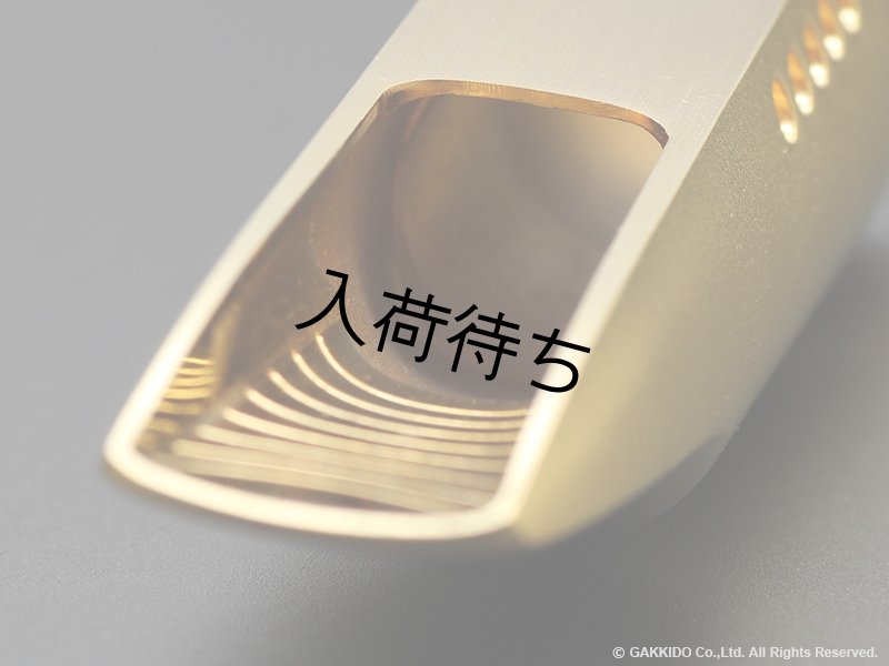 THEO WANNE AMBIKA2 テナーサックスマウスピース TheoWanne セオ・ワニ テナー メタルマウスピース AMBIKA2